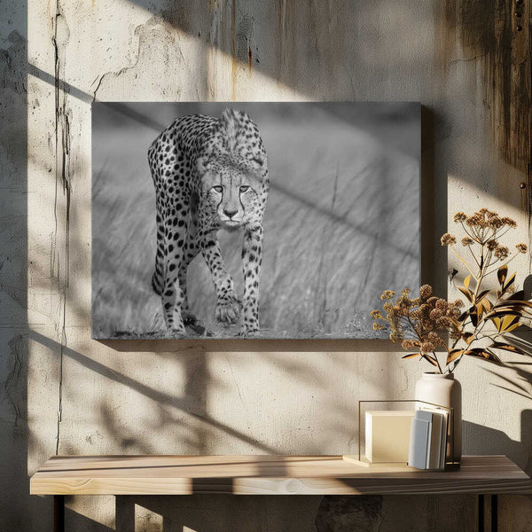 Tablou canvas „Focused predator” de Jaco Marx