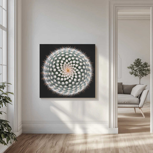 Tablou canvas „Notocactus scopa” de Victor Mozqueda