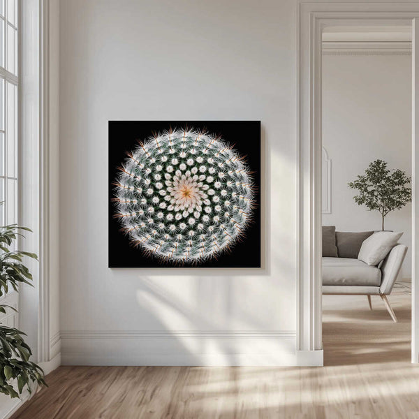 Tablou canvas „Notocactus scopa” de Victor Mozqueda