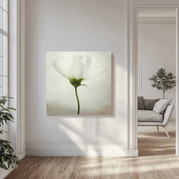 Tablou canvas „White cosmos” de Lotte Grønkjær