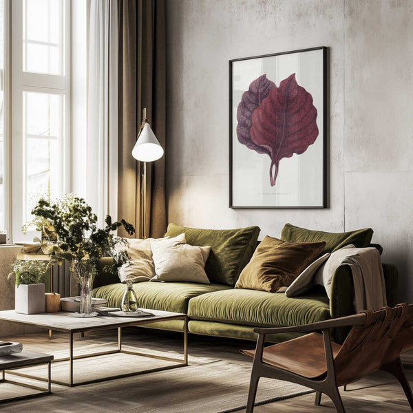 Tablou înramat „Pink Amarantus Leaf Illustration” de Les Plantes a Feuillage Colore