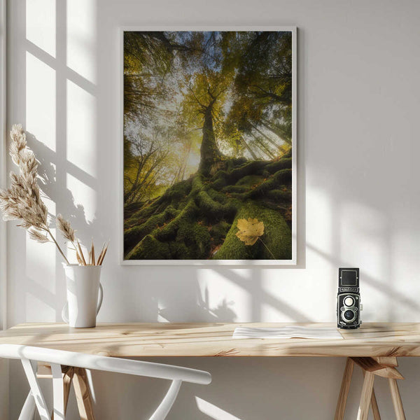 Tablou înramat „The goodbye of a leaf” de Alberto Ghizzi Panizza