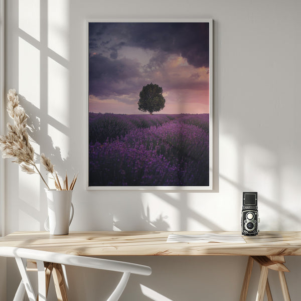Tablou înramat „Lavender Fields, Isparta” de Cuma Cevik