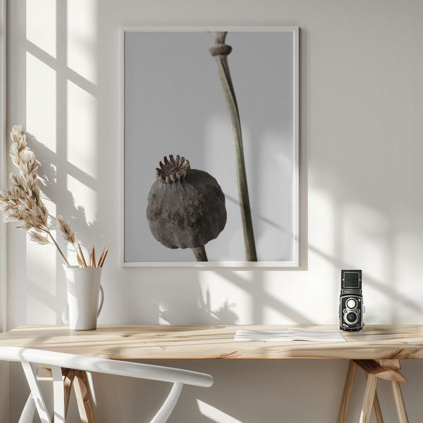 Tablou înramat „Dried_005” de Pictufy Studio III