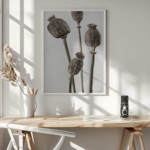 Tablou înramat „Dried_006” de Pictufy Studio III