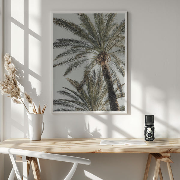 Tablou înramat „Palm_005” de Pictufy Studio III