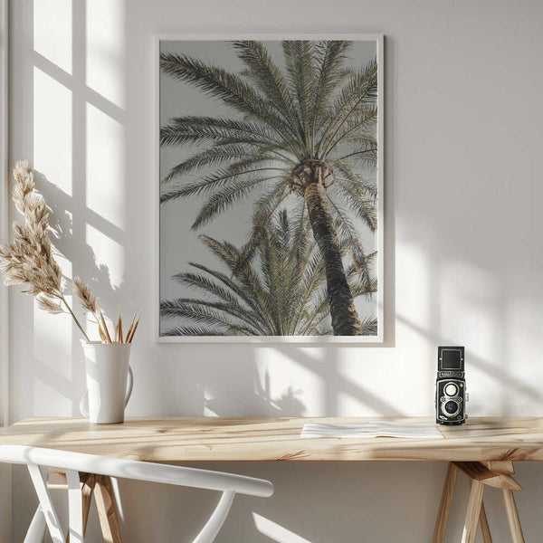 Tablou înramat „Palm_005” de Pictufy Studio III