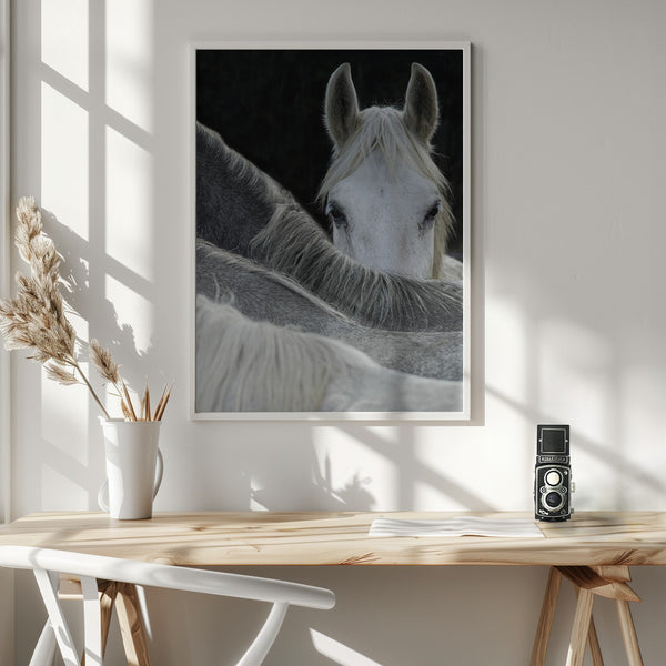 Tablou înramat „Look” de Milan Malovrh