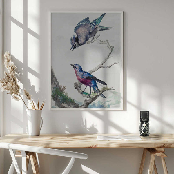 Tablou înramat „Two Birds a Blue Jay and a Purple Breasted Cotinga” de Aert Schouman