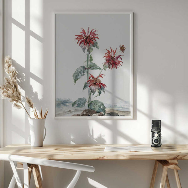 Tablou înramat „A Red Bergamot In a Landscape” de Aert Schouman