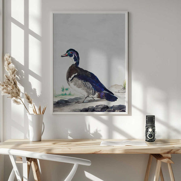 Tablou înramat „A Duck” de Aert Schouman