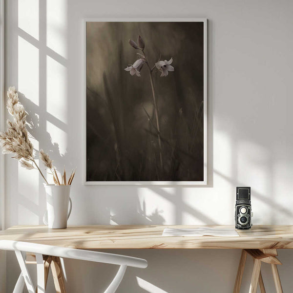 Tablou înramat „A small flower on the ground” de Allan Wallberg