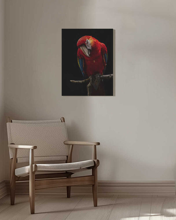 Tablou canvas „Portrait of Scarlet Macaw” de Andi Halil