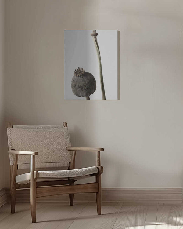 Tablou canvas „Dried_005” de Pictufy Studio III