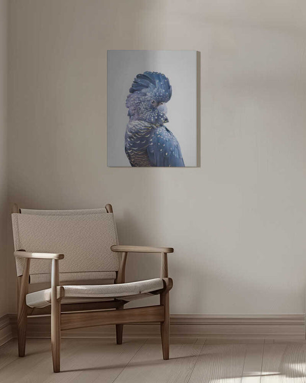 Tablou canvas „Black Cockatoo” de Kathrin Pienaar