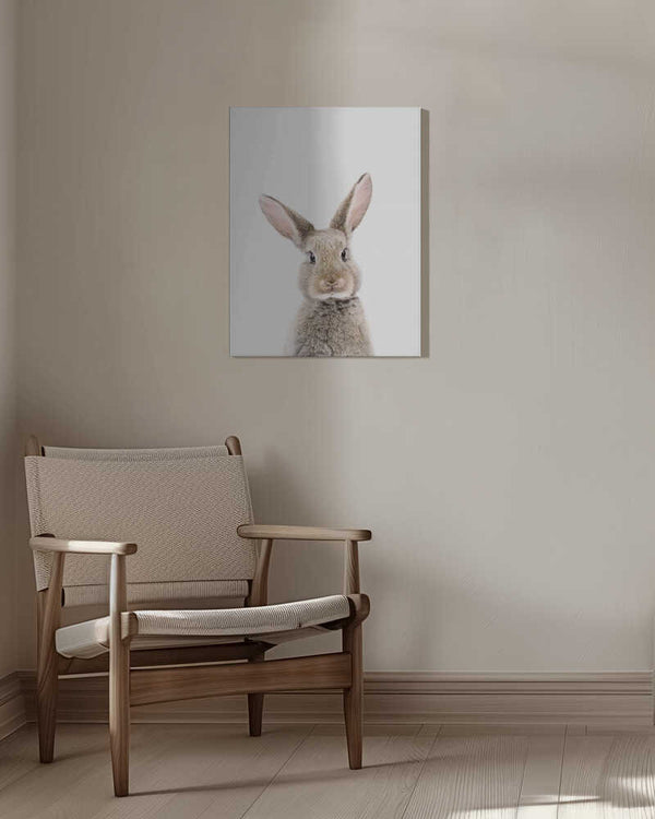 Tablou canvas „Baby Rabbit” de Kathrin Pienaar