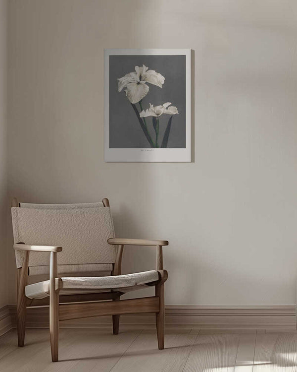 Tablou canvas „Iris Kæmpferi” de Ogawa Kazumasa