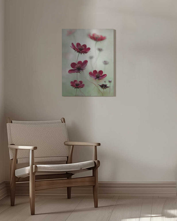 Tablou canvas „Cosmos sway” de Mandy Disher