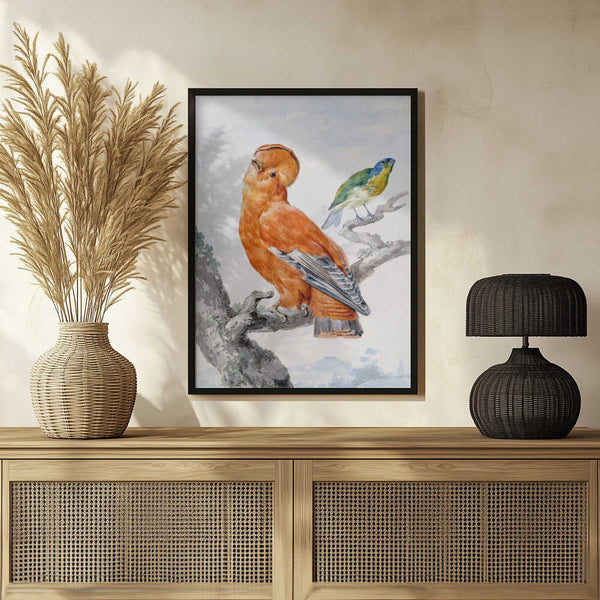 Tablou înramat „Two Exotic Birds” de Aert Schouman