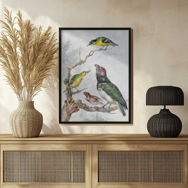 Tablou înramat „Four Different Birds On a Branch” de Aert Schouman