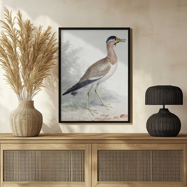 Tablou înramat „A Yellow Wattled Lapwing” de Aert Schouman