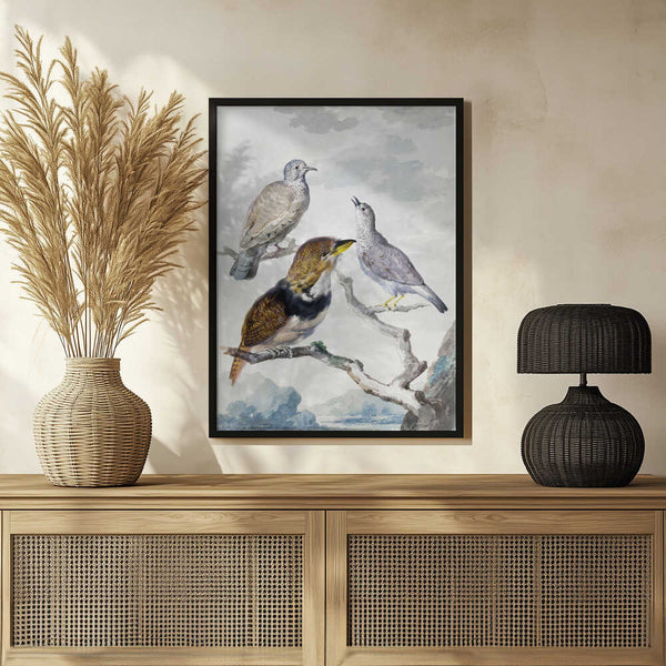 Tablou înramat „Three Birds, Two Inca Pigeons and a Collared Bearded Cuckoo” de Aert Schouman
