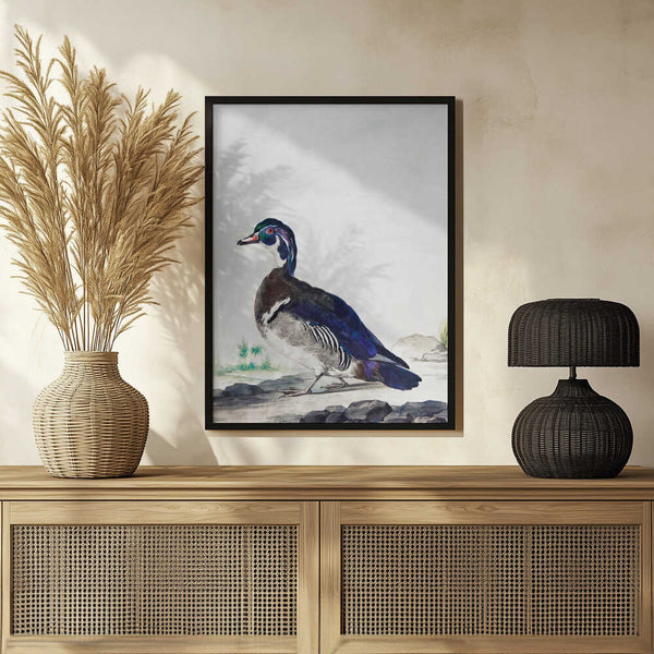 Tablou înramat „A Duck” de Aert Schouman