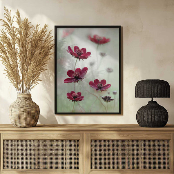 Tablou înramat „Cosmos sway” de Mandy Disher