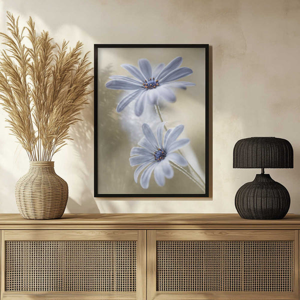 Tablou înramat „Cape daisies” de Mandy Disher