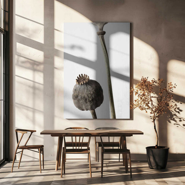 Tablou canvas „Dried_005” de Pictufy Studio III