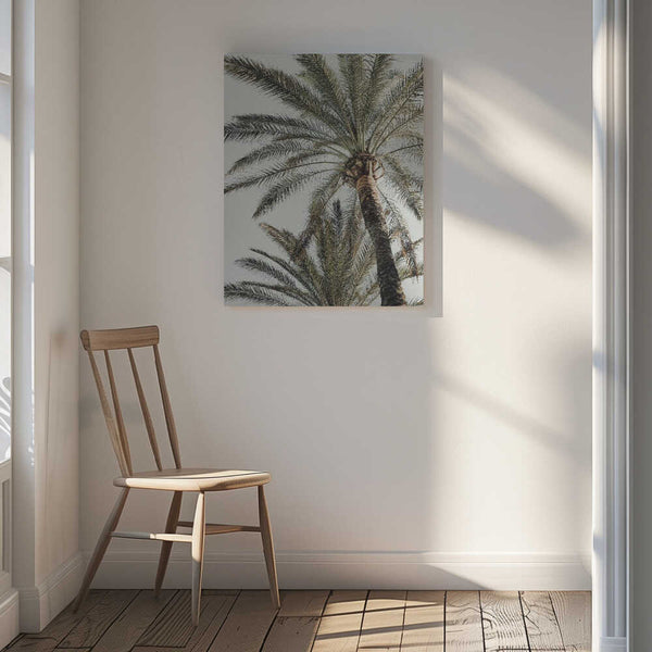 Tablou canvas „Palm_005” de Pictufy Studio III