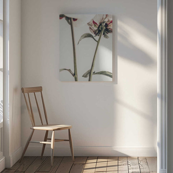 Tablou canvas „Peony 01” de Pictufy Studio III