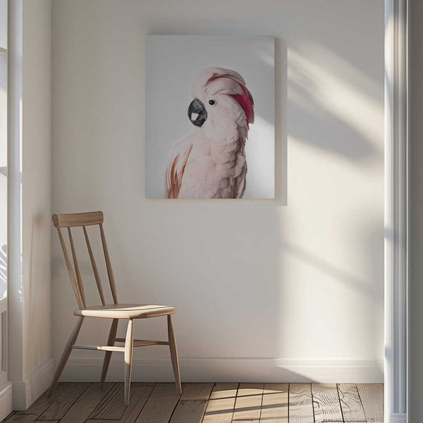 Tablou canvas „Pink Cockatoo” de Kathrin Pienaar