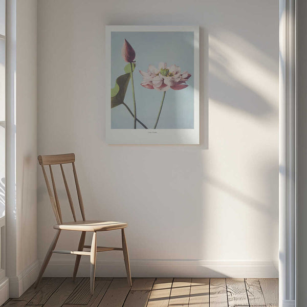 Tablou canvas „ Lotus Flowers” de Ogawa Kazumasa