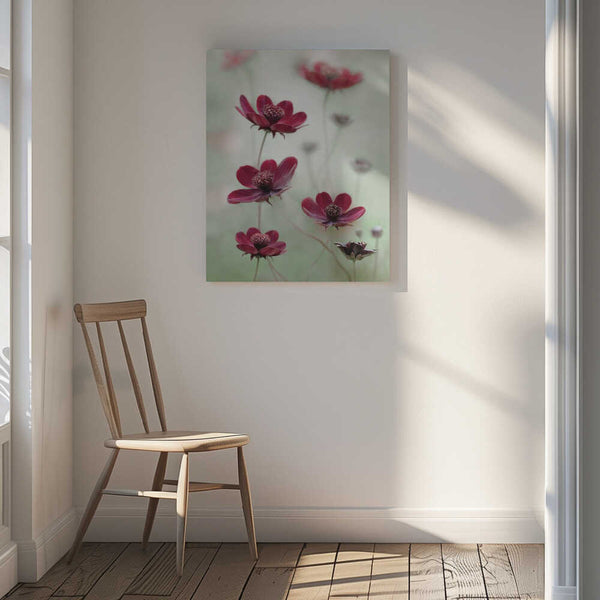 Tablou canvas „Cosmos sway” de Mandy Disher