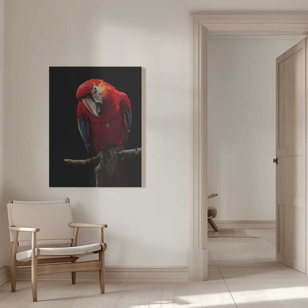 Tablou canvas „Portrait of Scarlet Macaw” de Andi Halil