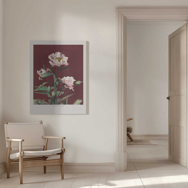 Tablou canvas „Hærdaceous Peony no2” de Ogawa Kazumasa