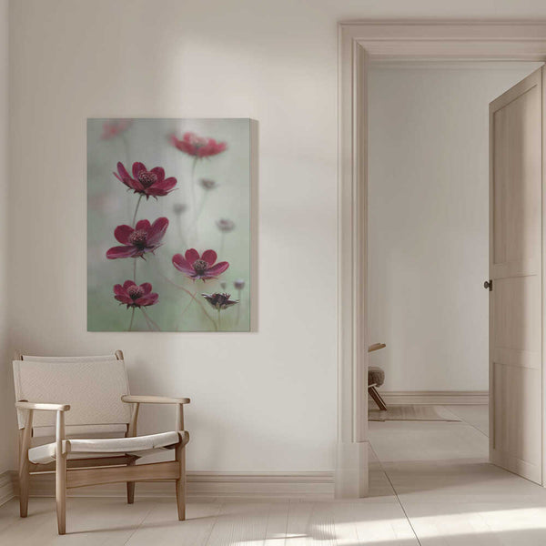 Tablou canvas „Cosmos sway” de Mandy Disher