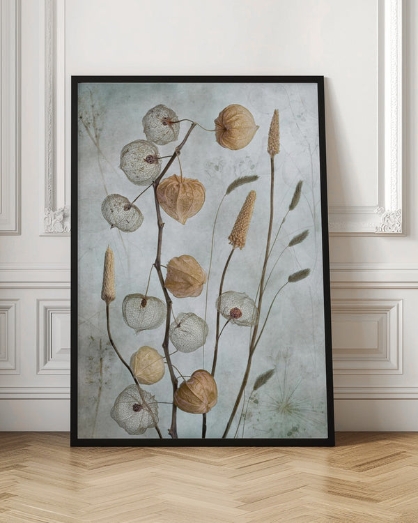 Tablou înramat „Lanterns*” de Mandy Disher