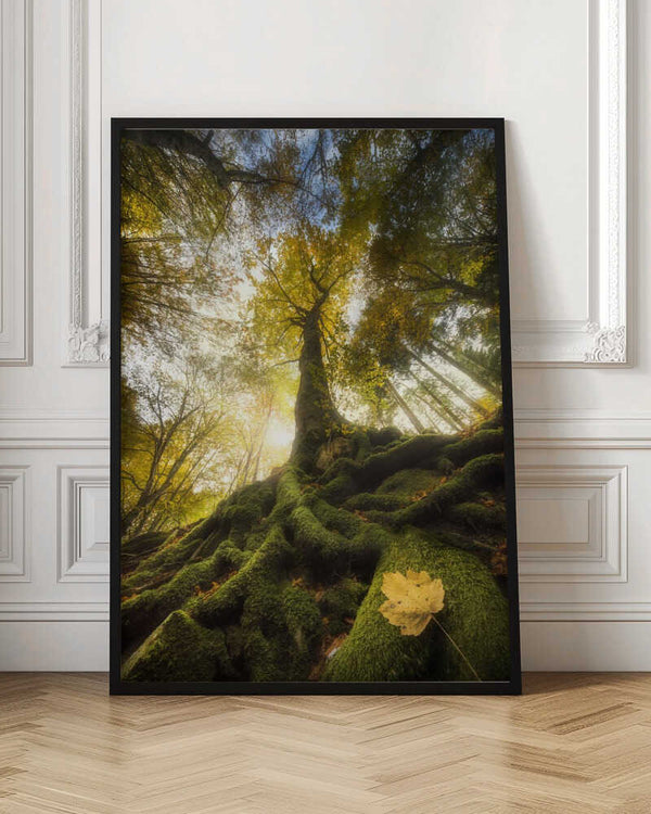 Tablou înramat „The goodbye of a leaf” de Alberto Ghizzi Panizza