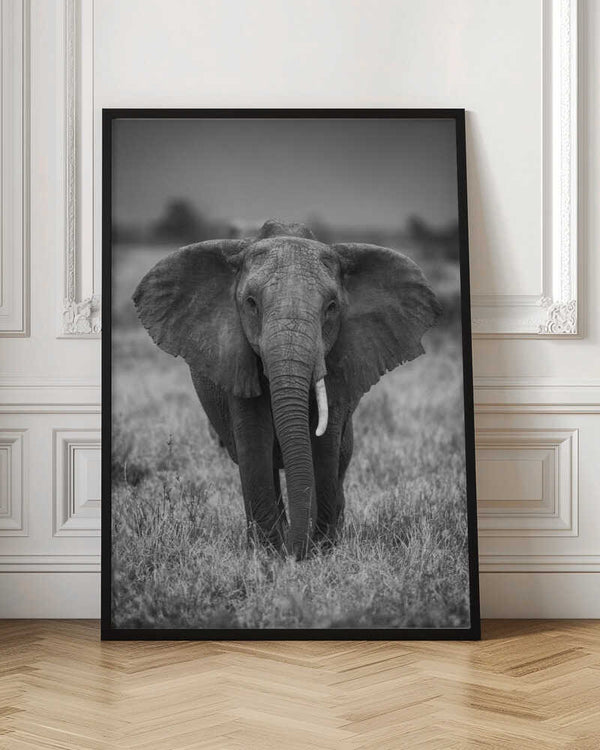 Tablou înramat „SINGULARITY” de Jaco Marx