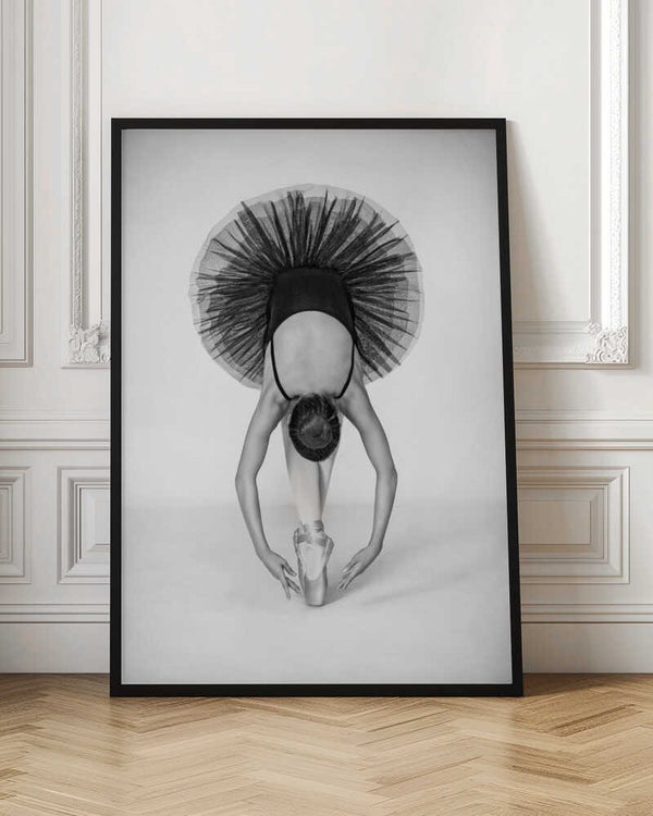 Tablou înramat „Ballet Technique” de Pauline Pentony MA ARPS DPAGB