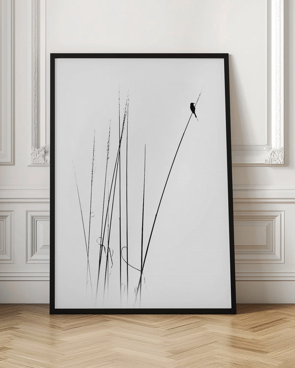 Tablou înramat „a sabbatical” de Swapniel s deshpnde