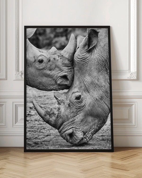 Tablou înramat „Face to face” de Jesus Concepcion Alvarado