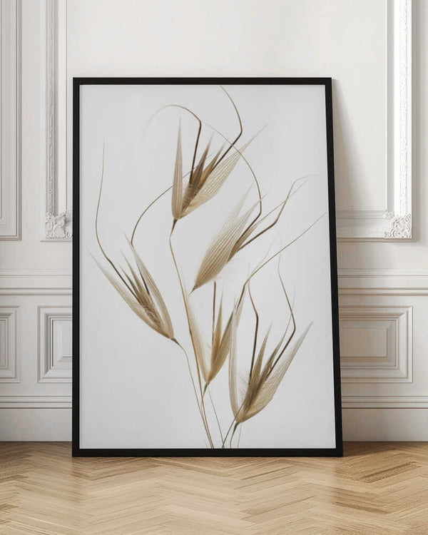 Tablou înramat „Delicacy of nature” de Thierry Lagandré (Transgressed Light)