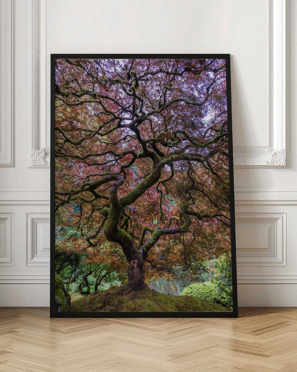 Tablou înramat „Japanese Maple Tree” de Mike Centioli