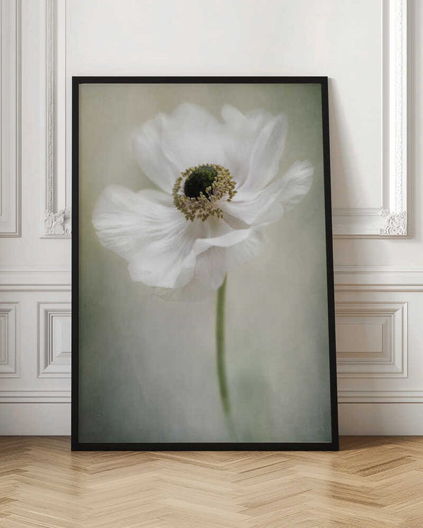 Tablou înramat „Single White” de Jacky Parker