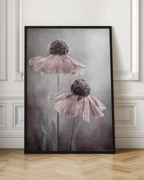 Tablou înramat „Duet” de Mandy Disher