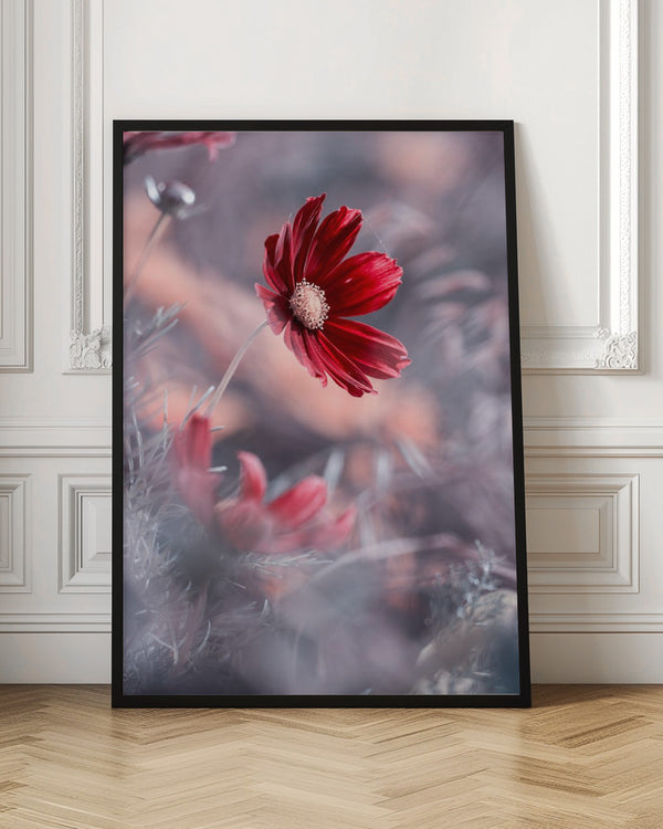 Tablou înramat „Carmen II” de Fabien BRAVIN