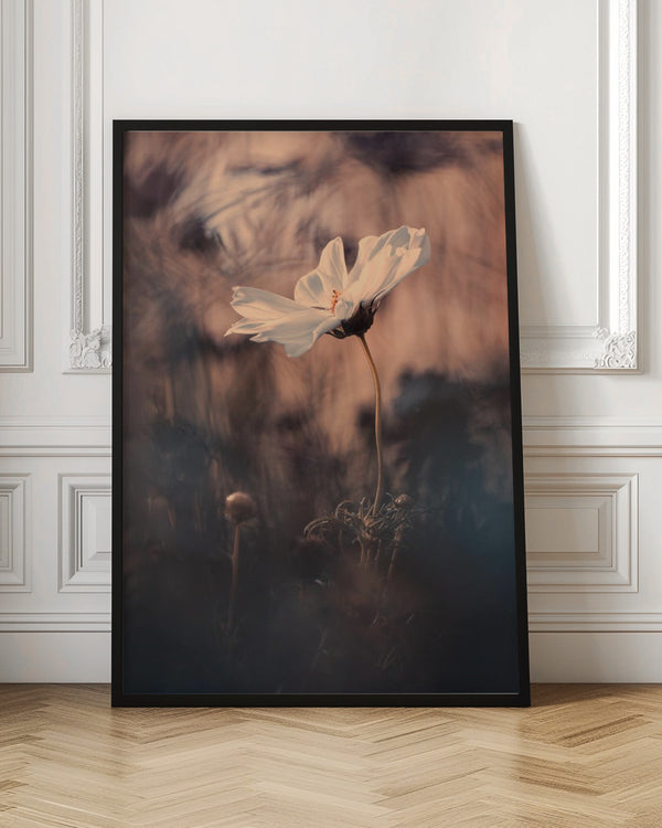 Tablou înramat „The Bride” de Fabien BRAVIN